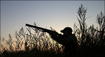 hunting Romania